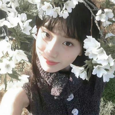 小迪兹的完美观念